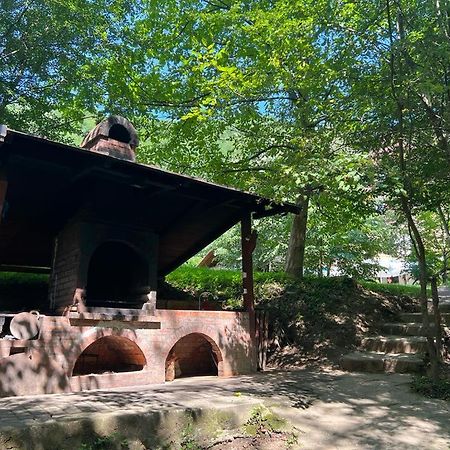 Pension Casa Vanatorilor Băile Olăneşti Exteriér fotografie