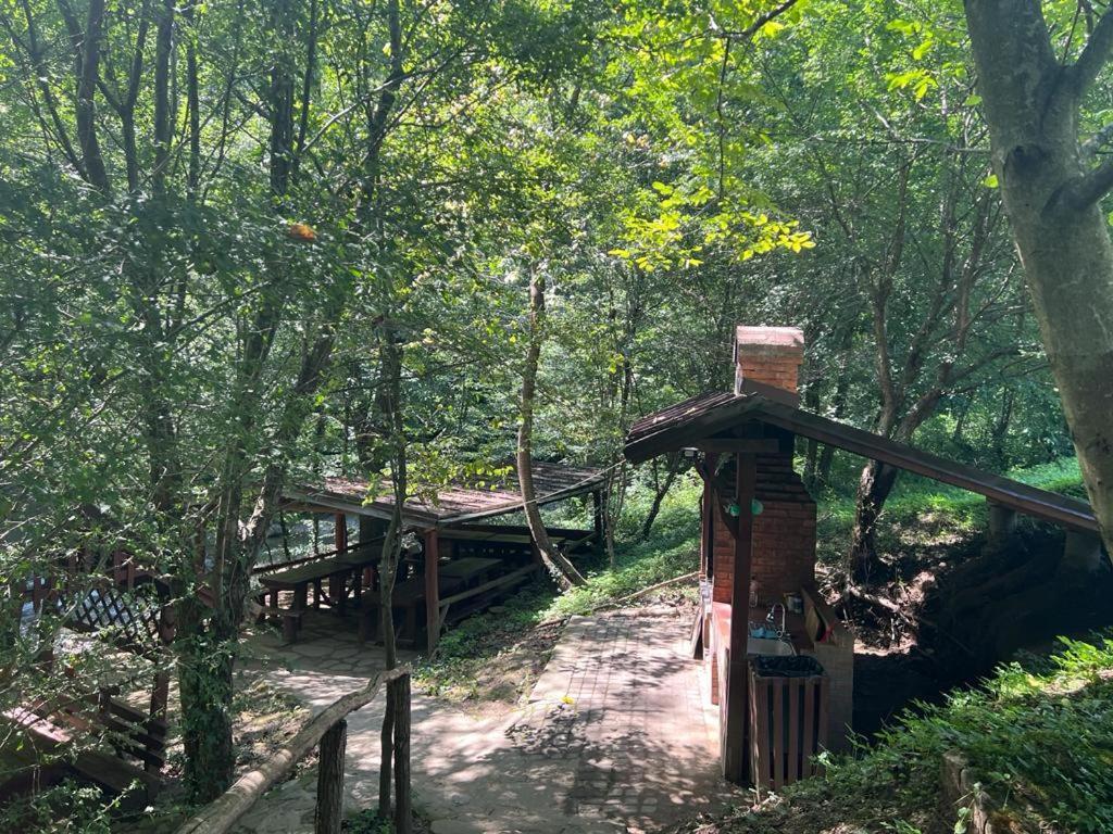 Pension Casa Vanatorilor Băile Olăneşti Exteriér fotografie