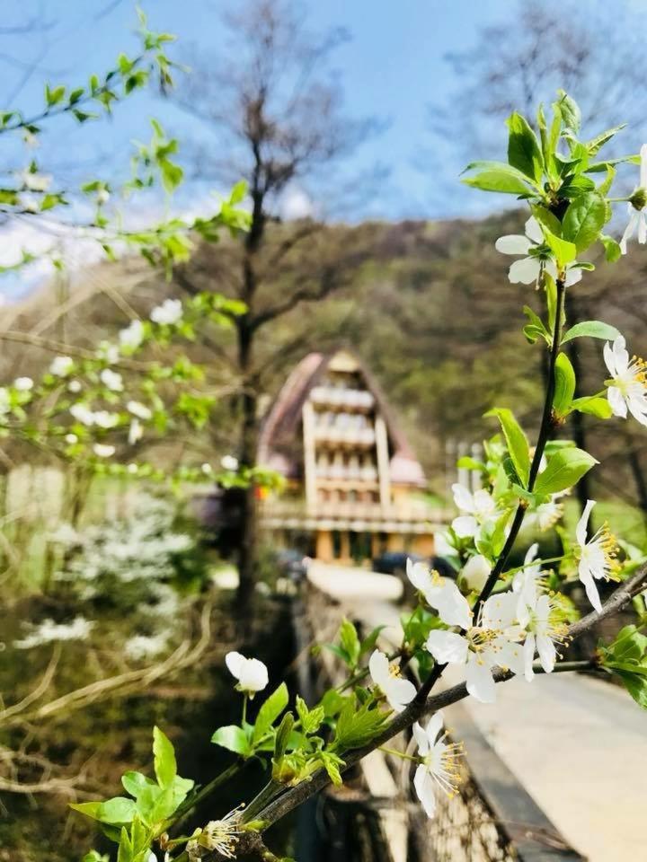 Pension Casa Vanatorilor Băile Olăneşti Exteriér fotografie