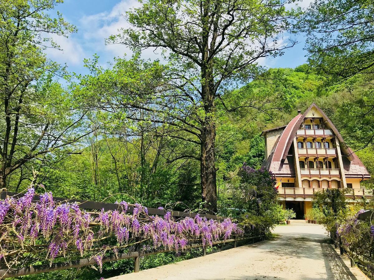 Pension Casa Vanatorilor Băile Olăneşti Exteriér fotografie