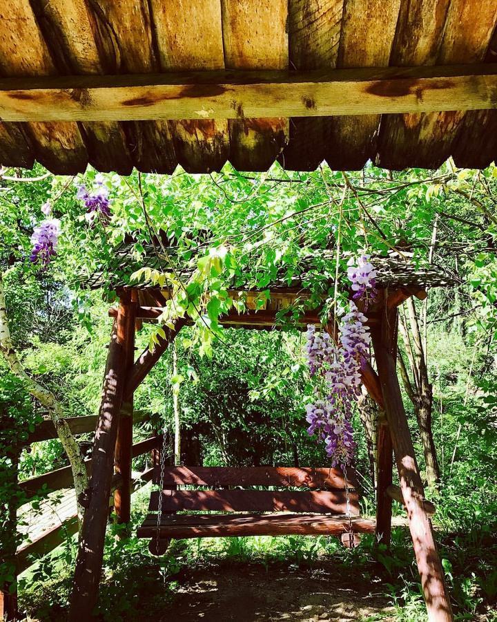 Pension Casa Vanatorilor Băile Olăneşti Exteriér fotografie