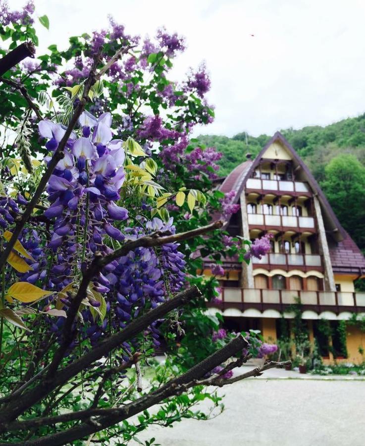 Pension Casa Vanatorilor Băile Olăneşti Exteriér fotografie
