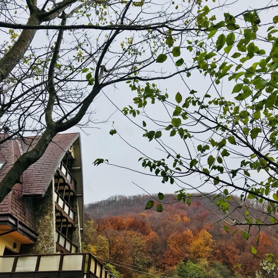 Pension Casa Vanatorilor Băile Olăneşti Exteriér fotografie