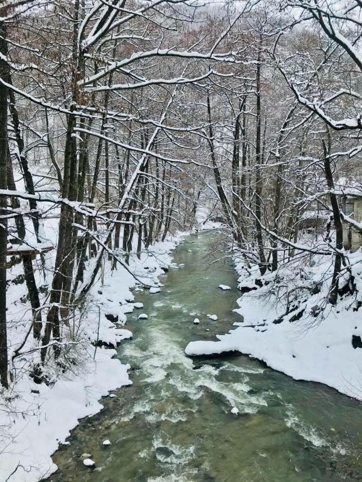 Pension Casa Vanatorilor Băile Olăneşti Exteriér fotografie