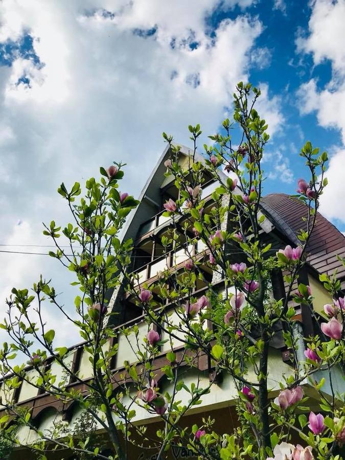 Pension Casa Vanatorilor Băile Olăneşti Exteriér fotografie